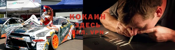 крисы Вязьма