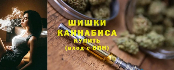 МДПВ Вяземский