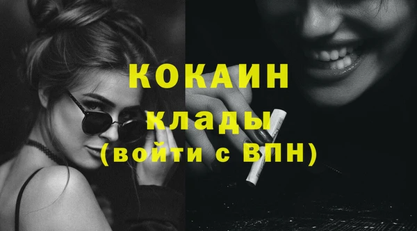 МДПВ Вяземский