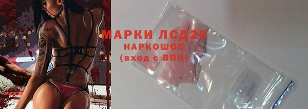 крисы Вязьма