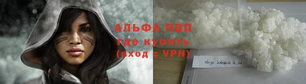 крисы Вязьма