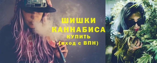 МДПВ Вяземский